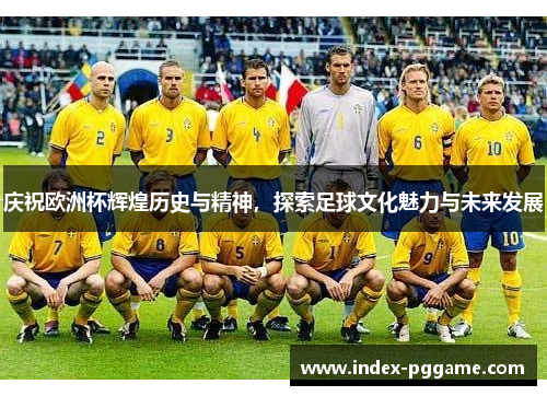 庆祝欧洲杯辉煌历史与精神，探索足球文化魅力与未来发展