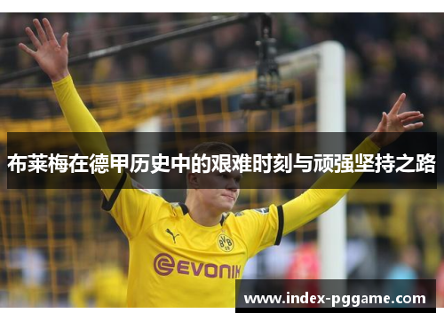 布莱梅在德甲历史中的艰难时刻与顽强坚持之路 布莱梅在德甲历史中的艰难时刻与顽强坚持之路