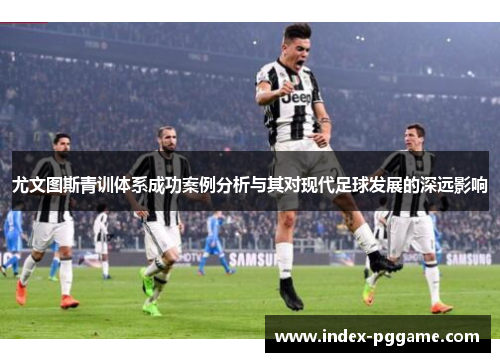 尤文图斯青训体系成功案例分析与其对现代足球发展的深远影响