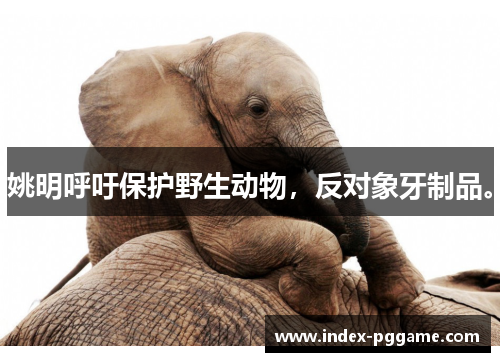 姚明呼吁保护野生动物，反对象牙制品。