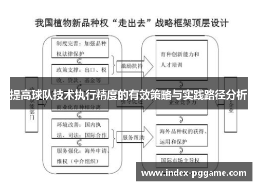 提高球队技术执行精度的有效策略与实践路径分析