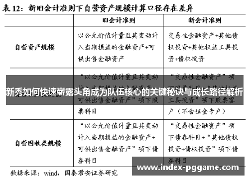 新秀如何快速崭露头角成为队伍核心的关键秘诀与成长路径解析