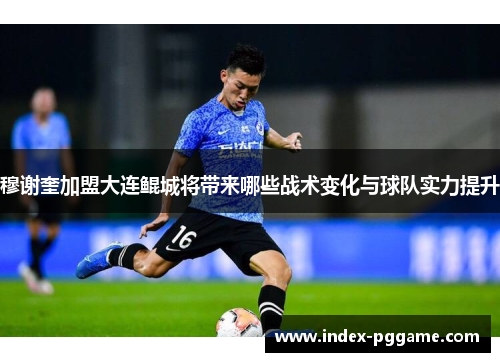 穆谢奎加盟大连鲲城将带来哪些战术变化与球队实力提升
