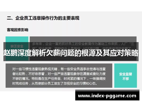 赵鹏深度解析欠薪问题的根源及其应对策略