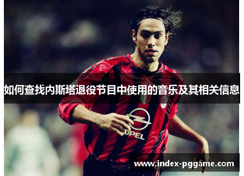 如何查找内斯塔退役节目中使用的音乐及其相关信息