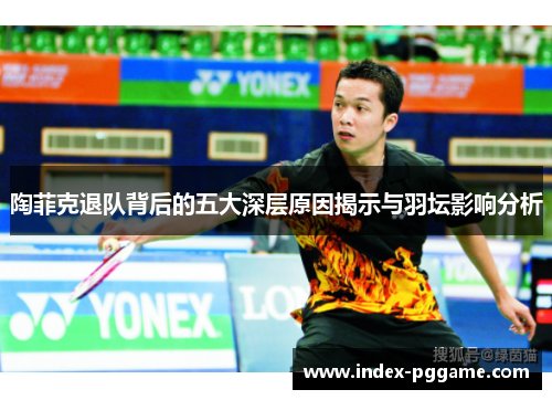 陶菲克退队背后的五大深层原因揭示与羽坛影响分析