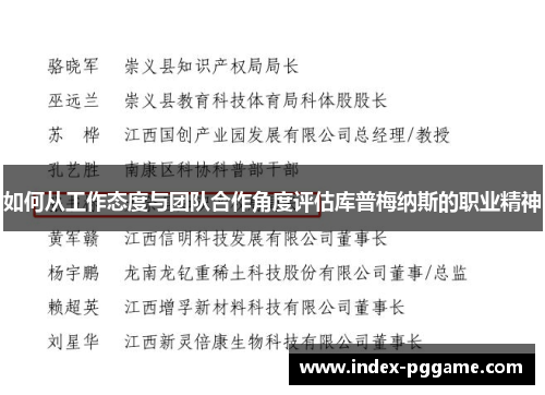 如何从工作态度与团队合作角度评估库普梅纳斯的职业精神