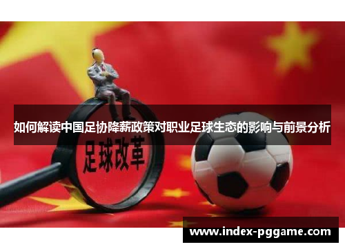 如何解读中国足协降薪政策对职业足球生态的影响与前景分析