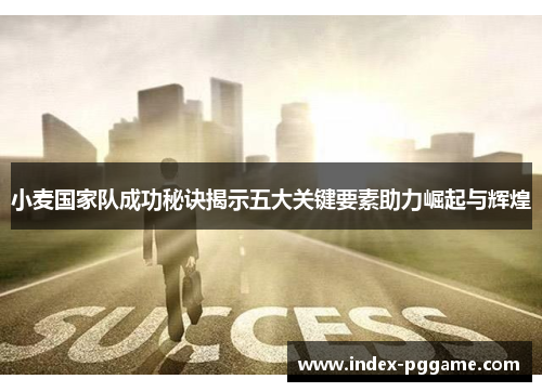 小麦国家队成功秘诀揭示五大关键要素助力崛起与辉煌
