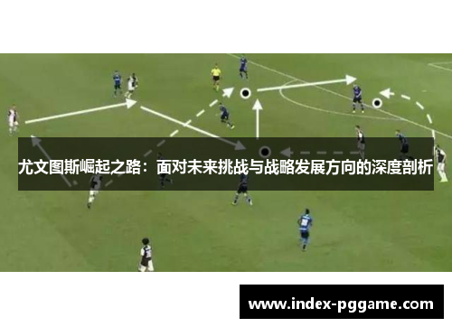 尤文图斯崛起之路：面对未来挑战与战略发展方向的深度剖析